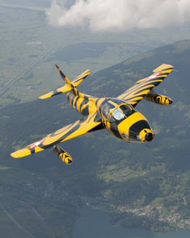 J-4206 Tiger